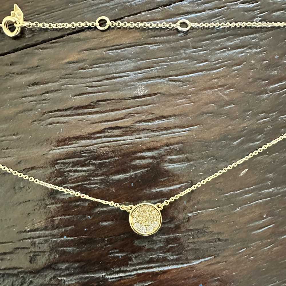 Fossil Gold Necklace with Crystal Pendant adjustable